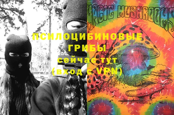 не бодяженный Богданович
