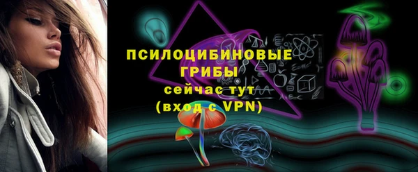 стафф Богородск