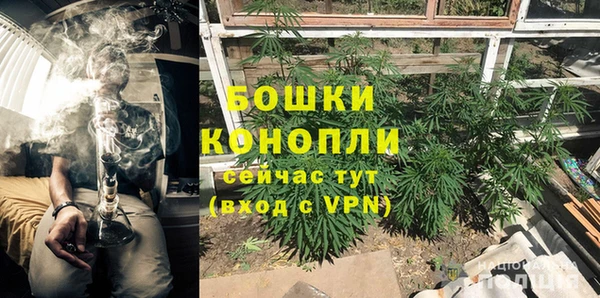 не бодяженный Богданович