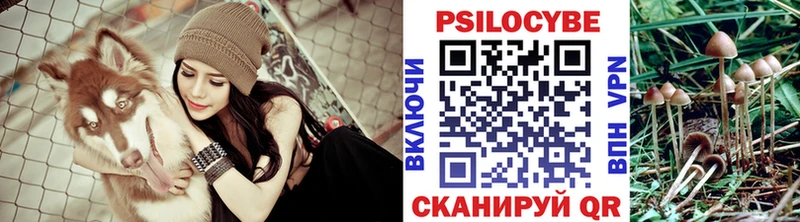 Галлюциногенные грибы мицелий  Козьмодемьянск 